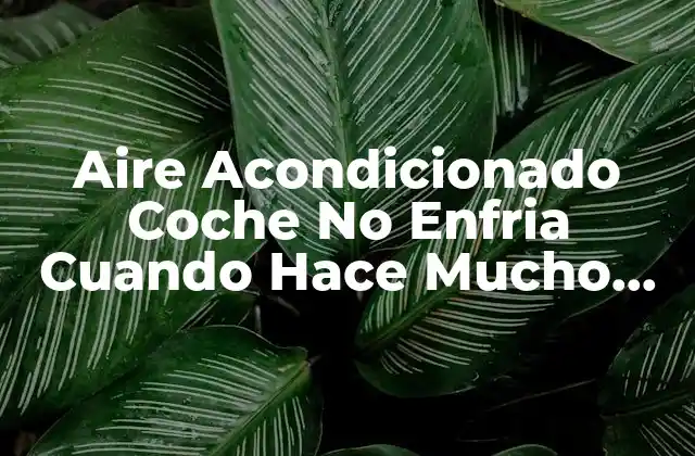 Aire Acondicionado Coche No Enfria Cuando Hace Mucho Calor: Soluciones y Causas