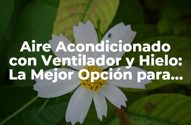 Aire Acondicionado con Ventilador y Hielo: la Mejor Opción para un Clima Fresco