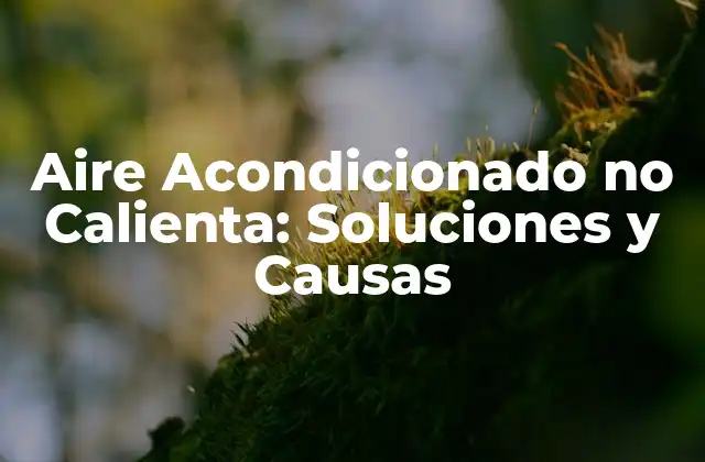 Aire Acondicionado No Calienta: Soluciones y Causas
