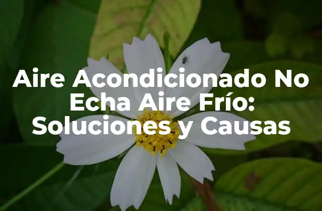 Aire Acondicionado No Echa Aire Frío: Soluciones y Causas 2 ¿Qué hace que el aire acondicionado no eche aire frío?
