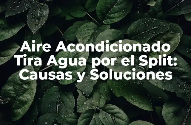 Aire Acondicionado Tira Agua por el Split: Causas y Soluciones