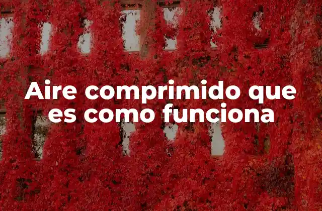 Aire Comprimido que es como Funciona