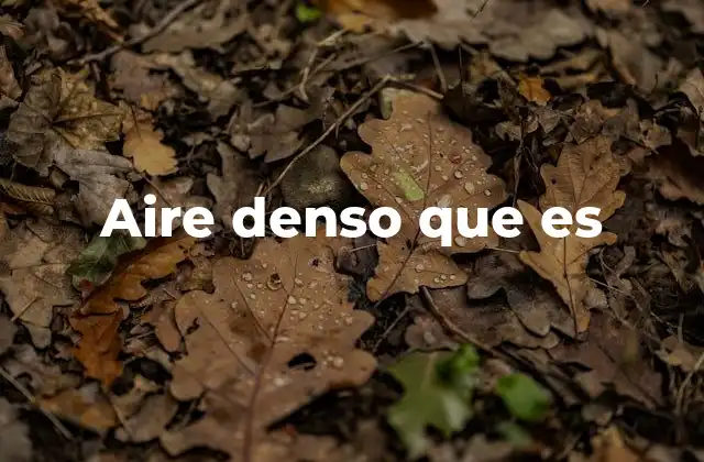 Factores que contribuyen a la formación del aire denso