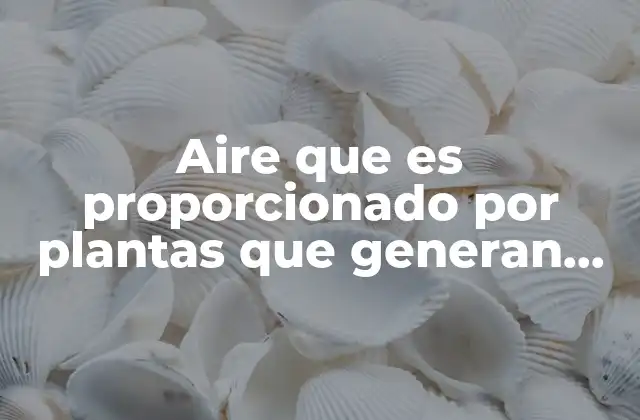 Aire que es Proporcionado por Plantas que Generan Electricidad