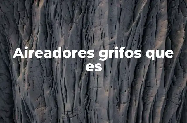 Aireadores Grifos que es