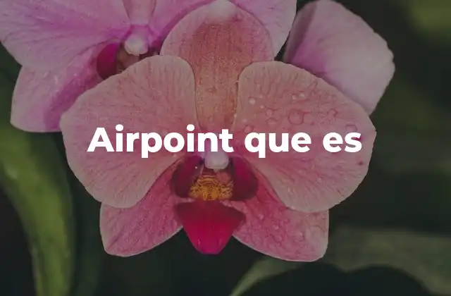 Airpoint que es