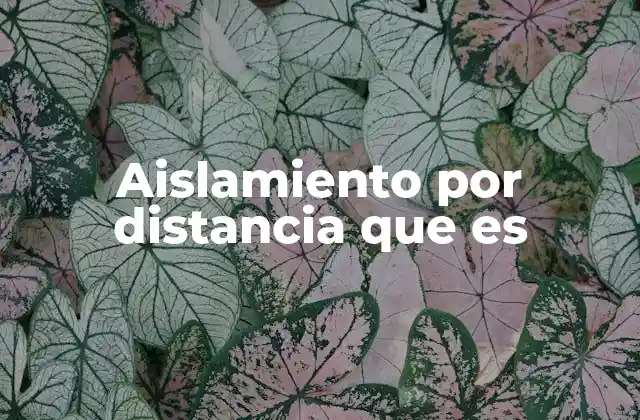 Aislamiento por Distancia que es