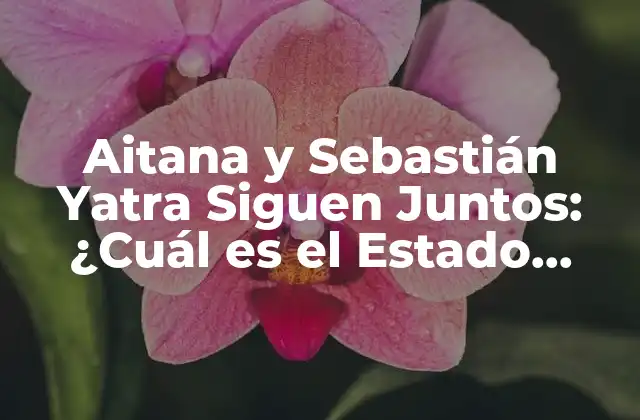 Aitana y Sebastián Yatra Siguen Juntos: ¿cuál es el Estado Actual de Su Relación?