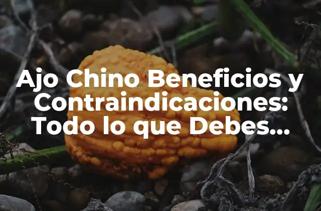 Ajo Chino Beneficios y Contraindicaciones: Todo Lo que Debes Saber
