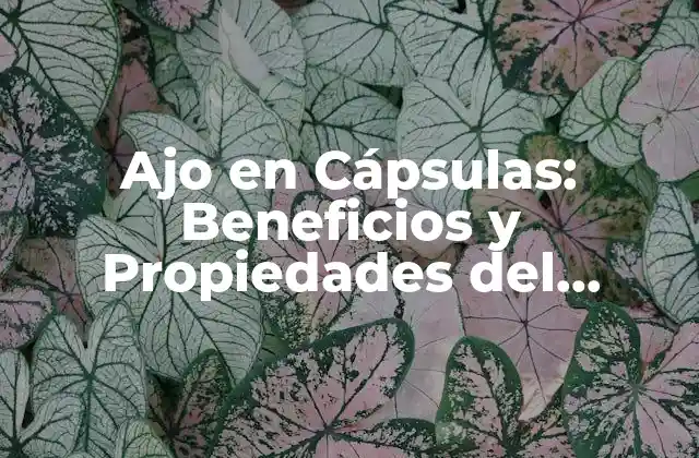 Ajo en Cápsulas: Beneficios y Propiedades Del Suplemento Natural