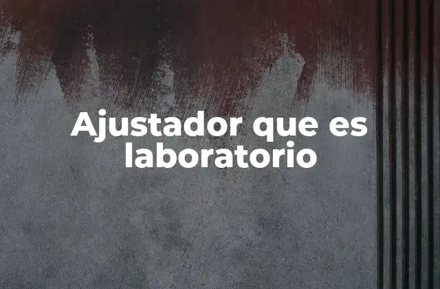 Ajustador que es Laboratorio