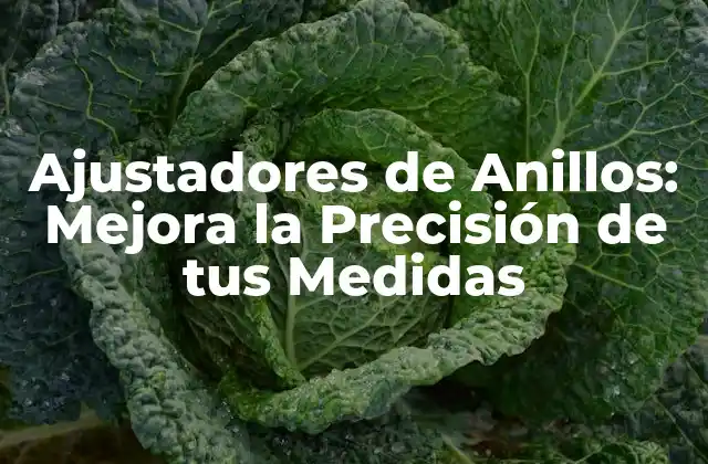 Ajustadores de Anillos: Mejora la Precisión de Tus Medidas