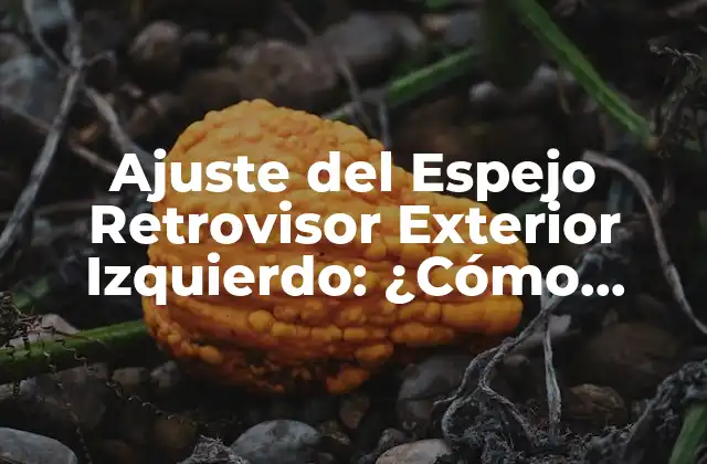 ¿Por Qué es Importante el Ajuste del Espejo Retrovisor Exterior Izquierdo?