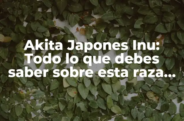 Akita Japones Inu: Todo Lo que Debes Saber sobre Esta Raza de Perro