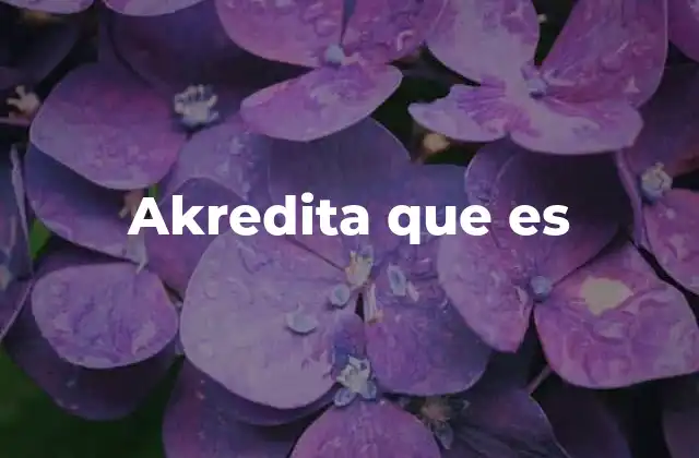 Akredita que es 2 La creencia como base de la identidad