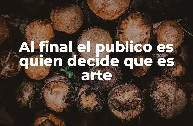 Al Final el Publico es Quien Decide que es Arte