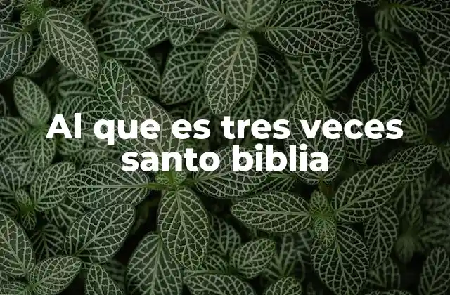 Al que es Tres Veces Santo Biblia