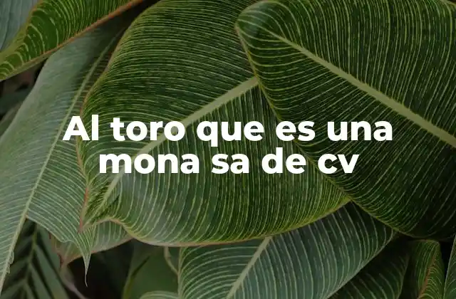 Al Toro que es una Mona Sa de Cv