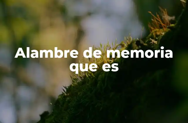 Alambre de Memoria que es