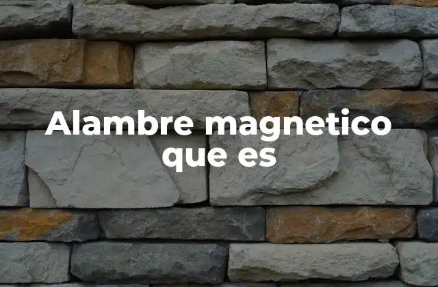 Alambre Magnetico que es