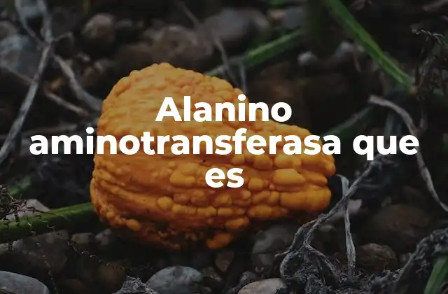 Alanino Aminotransferasa que es