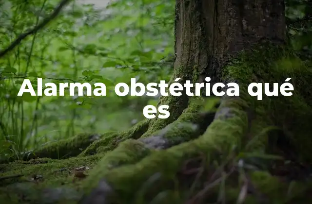 Alarma Obstétrica Qué es