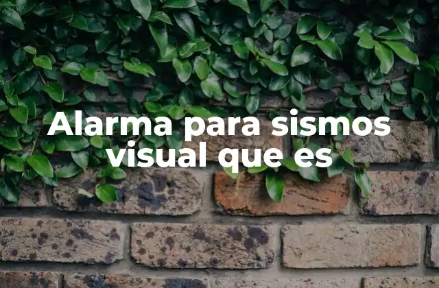 Alarma para Sismos Visual que es