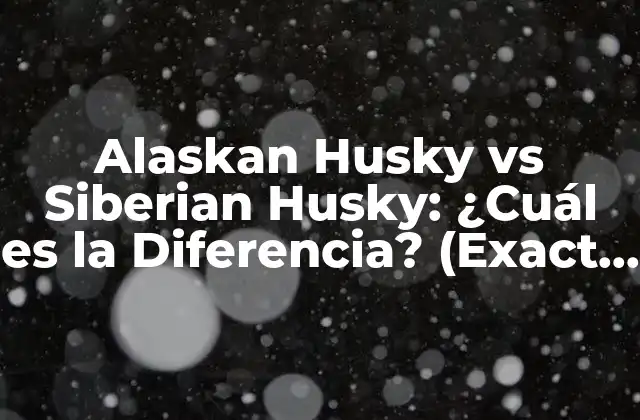 Alaskan Husky Vs Siberian Husky: ¿cuál es la Diferencia? (exact Match)