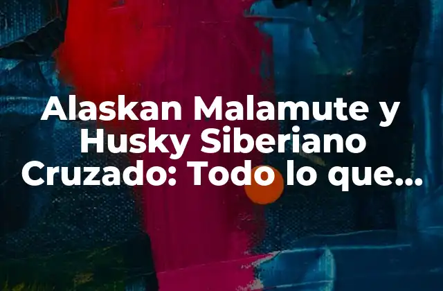 Alaskan Malamute y Husky Siberiano Cruzado: Todo Lo que Necesitas Saber