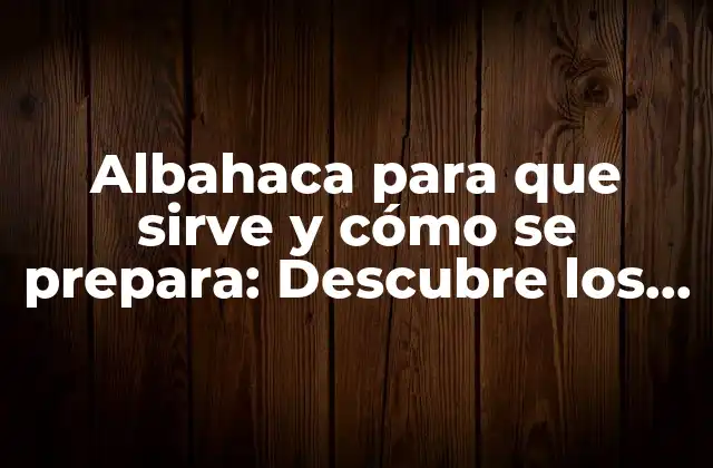 Albahaca para que Sirve y Cómo Se Prepara: Descubre los Beneficios y Usos de Esta Hierba Medicinal