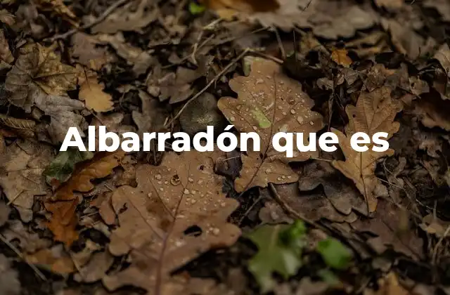 Albarradón que es