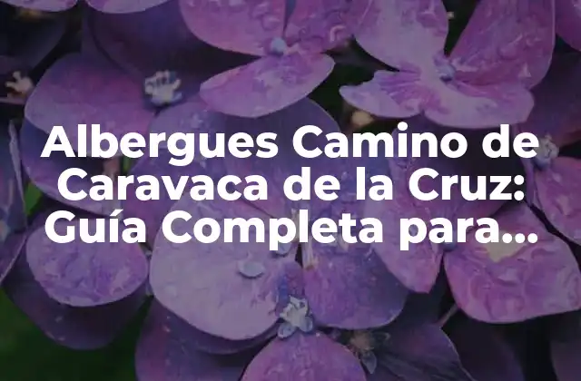 Albergues Camino de Caravaca de la Cruz: Guía Completa para Peregrinos