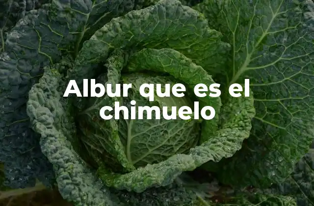 Albur que es el Chimuelo