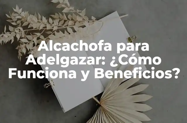 Alcachofa para Adelgazar: ¿cómo Funciona y Beneficios?