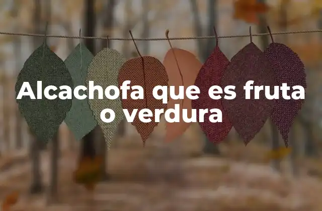 Alcachofa que es Fruta o Verdura