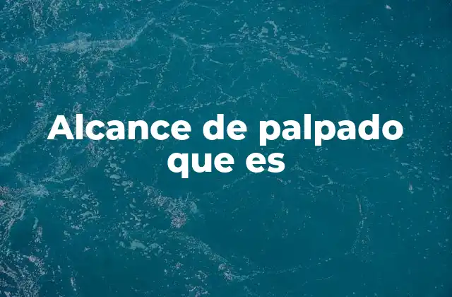 Alcance de Palpado que es