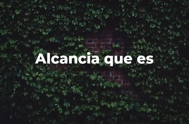 Alcancia que es