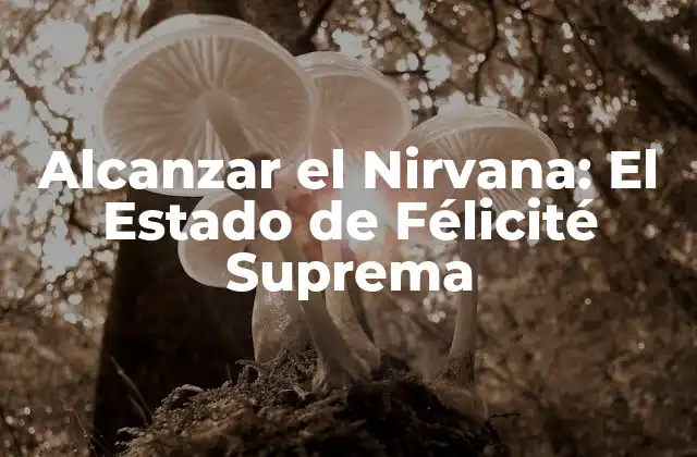 Alcanzar el Nirvana: el Estado de Félicité Suprema 2 ¿Qué es el Nirvana?