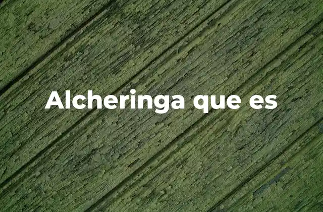 Alcheringa que es 2 El Alcheringa en la cosmovisión aborigen