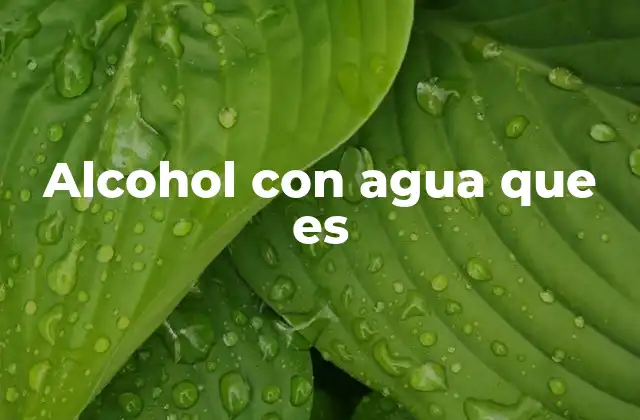 Alcohol con Agua que es 2 La importancia de mezclar alcohol con agua en diferentes contextos