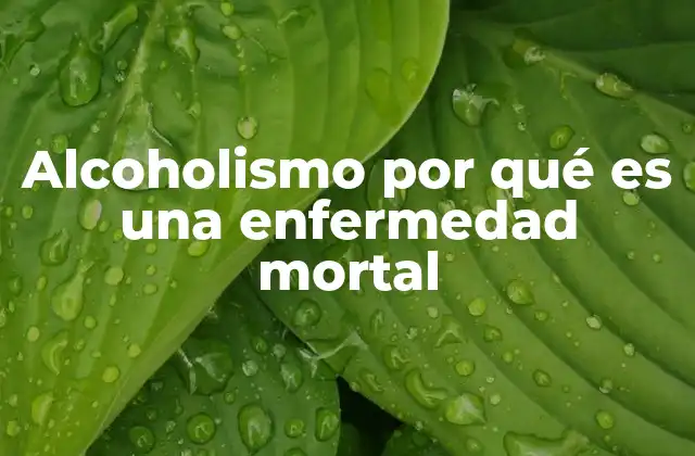 Alcoholismo por Qué es una Enfermedad Mortal