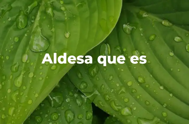 Aldesa que es
