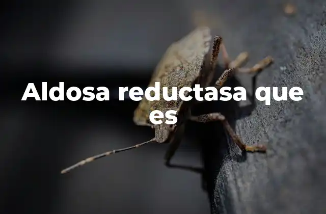 Aldosa Reductasa que es