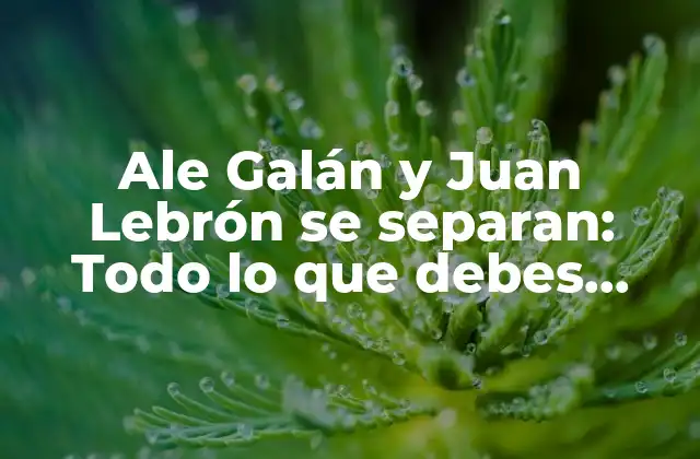 Ale Galán y Juan Lebrón Se Separan: Todo Lo que Debes Saber sobre la Ruptura