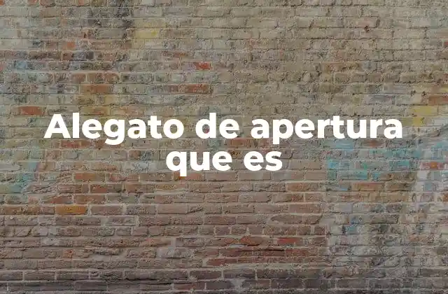 Alegato de Apertura que es