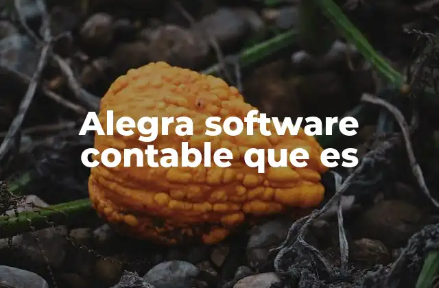 Alegra Software Contable que es