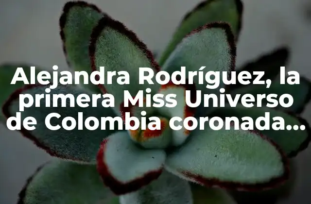 Alejandra Rodríguez, la Primera Miss Universo de Colombia Coronada en Buenos Aires