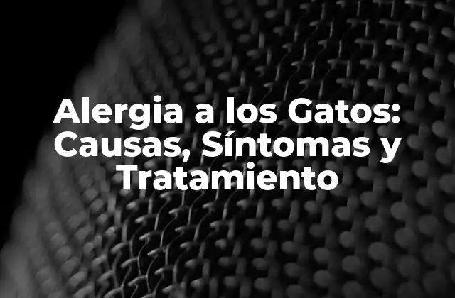 Alergia a los Gatos: Causas, Síntomas y Tratamiento
