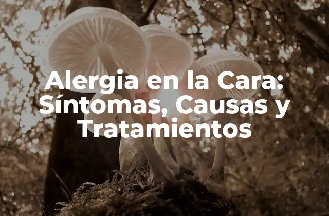 Síntomas de la Alergia en la Cara