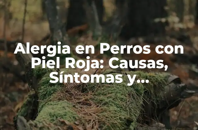 Alergia en Perros con Piel Roja: Causas, Síntomas y Tratamiento